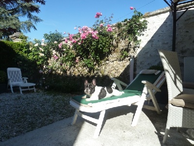 Of Churchill Bull - La belle vie pour Fugees , fils de Utto et de Bellina