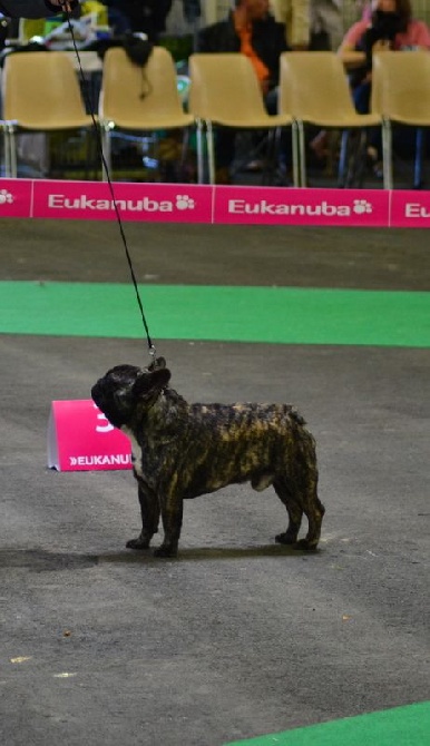 Isidore = 4 eme excellent au championnat de France